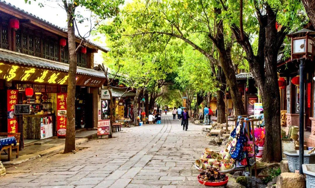 广东两会|胡智荣委员：促进慈善事业发展助力粤港澳大湾区高质量建设